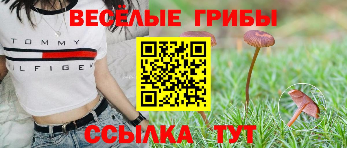 Псилоцибиновые грибы мицелий Каспийск